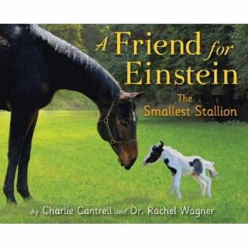 Hardcover A Friend for Einstein, the Smallest Stallion Book