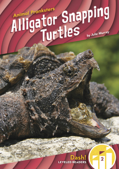Paperback Alligator Snapping Turtles Book