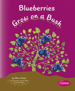 Hardcover Blueberries Grow on a Bush Book