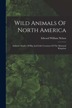 Paperback Wild Animals Of North America: Intimate Studies Of Big And Little Creatures Of The Mammal Kingdom Book