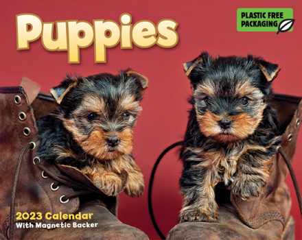 Calendar 2023 Puppies Mini Box Calendar Book