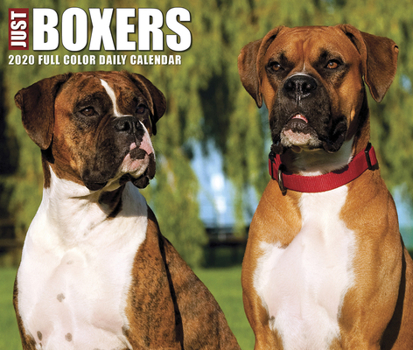 Calendar Just 2020 Boxers 2020 Box Calendar (Dog Breed Calendar) Book