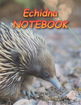 Echidna NOTEBOOK: Notebooks and Journals 110 pages (8.5"x11")