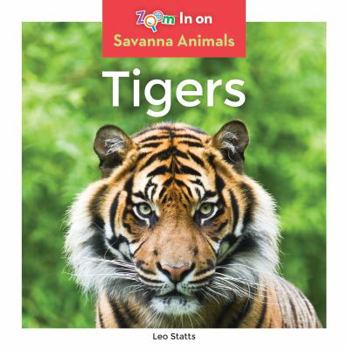 Tigers - Book  of the Savanna Animals
