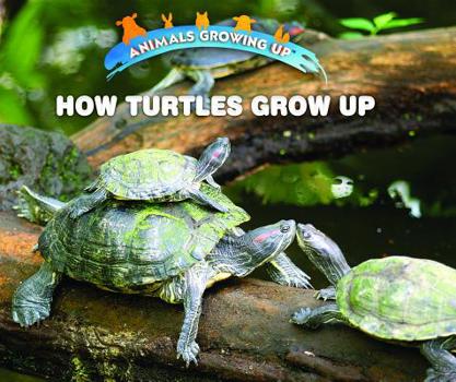 Library Binding How Turtles Grow Up Book