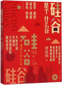 Paperback Silicon Valley (Chinese Edition) [Chinese] Book