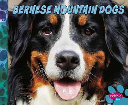 Hardcover Bernese Mountain Dogs Book