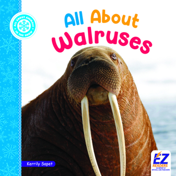 All about Walruses (All about Animals: In the Snow)