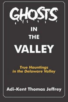 Paperback Ghosts in the Valley: True Hauntings in the Delaware Valley Book