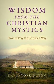 Paperback Wisdom from the Christian Mystics: How to Pray the Christian Way Book