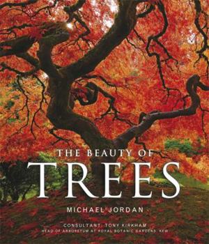 Hardcover the beauty of trees. by michael jordan Book