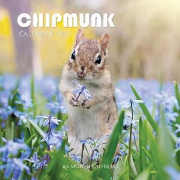 Chipmunk Calendar 2019 : 16 Month Calendar