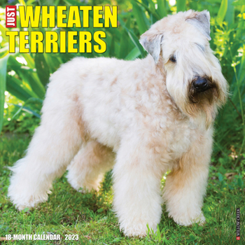 Calendar Just Wheaton Terriers 2023 Wall Calendar Book