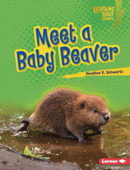Library Binding Meet a Baby Beaver Book