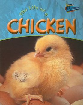 The Life of a Chicken (Life Cycles (Chicago, Ill.).) - Book  of the Life Cycles