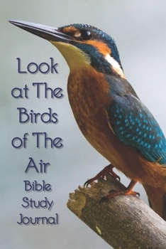 Look At The Birds of The Air Bible Study Journal - Matthew 6:26