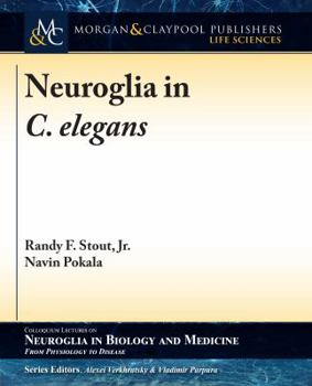 Paperback Neuroglia in C. elegans Book