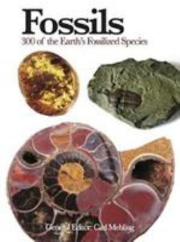 Flexibound Fossils: 300 of the Earth's Fossilized Species (Mini Encyclopedia) Book