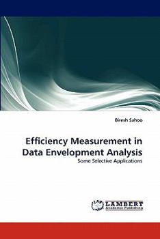 Paperback Efficiency Measurement in Data Envelopment Analysis Book