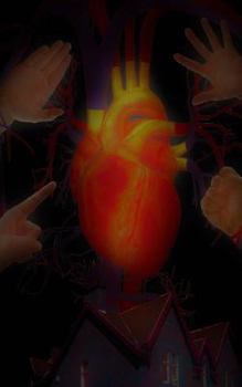 Paperback Where the Heart Lies Book