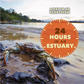 24 Hours in an Estuary - Book  of the A Day in an Ecosystem