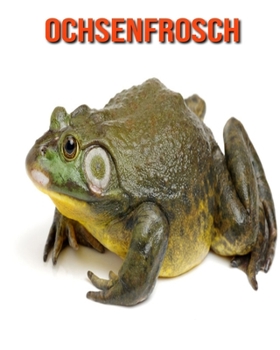 Ochsenfrosch: Sch�ne Bilder & Kinderbuch mit interessanten Fakten �ber Ochsenfrosch