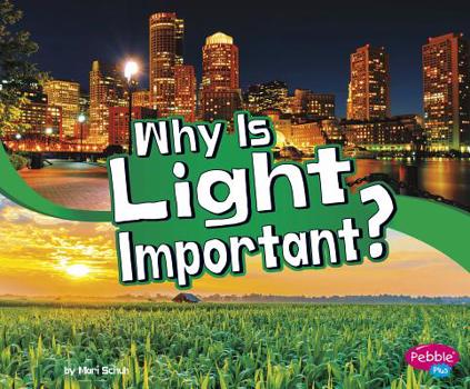 Hardcover Why Is Light Important? Book