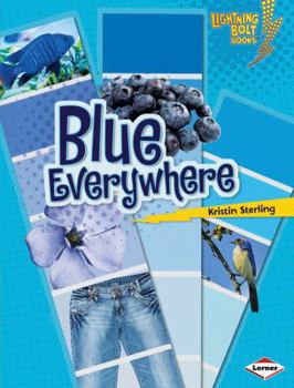 Blue Everywhere - Book  of the Lightning Bolt Books™ ~ Colors Everywhere
