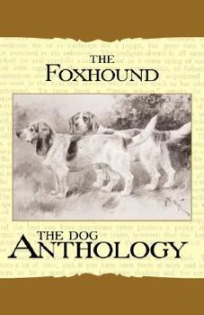 Paperback The Foxhound & Harrier - A Dog Anthology (A Vintage Dog Books Breed Classic) Book