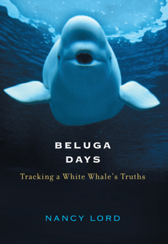 Hardcover Beluga Days: Tracking a White Whale's Truths Book