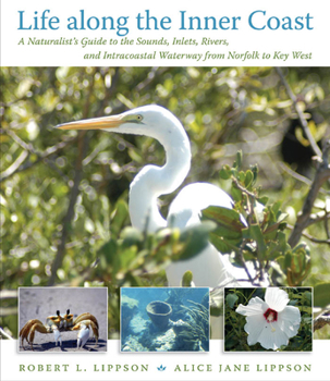 Life along the Inner Coast: A Naturalist's Guide to the Sounds, Inlets, Rivers, and Intracoastal Waterway from Norfolk to Key West - Book  of the Southern Gateways Guides