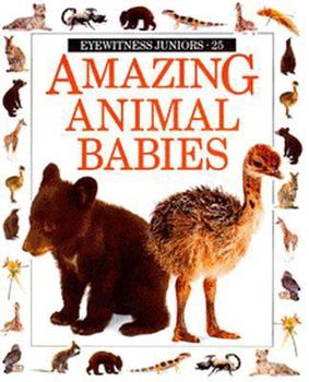 Paperback Amazing Animal Babies Book
