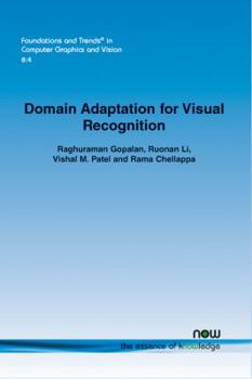Paperback Domain Adaptation for Visual Recognition Book