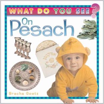 Board book What do You See on Pesach Book