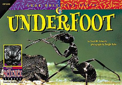 Paperback Underfoot Book