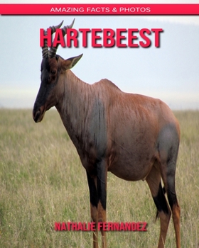Hartebeest: Amazing Facts & Photos