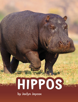 Hardcover Hippos Book