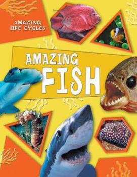 Library Binding Amazing Fish Book