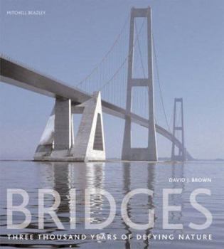 Paperback Bridges: Three Thousand Years of Defying Nature Book