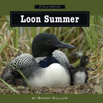 Hardcover Loon Summer Book