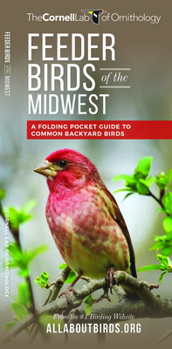 Paperback Feeder Birds of the Midwest: A Folding Pocket Guide to Common Backyard Birds Book