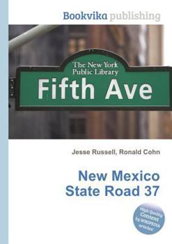 Paperback New Mexico State Road 37 Book