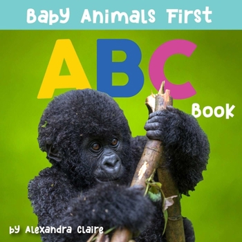 Board book Baby Animals First ABC Book