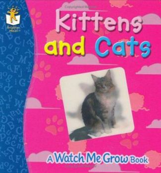 Board book Kittens and Cats Book