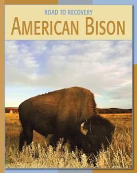 Library Binding American Bison Book