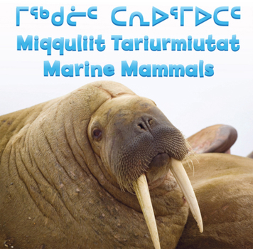 Board book Marine Mammals Book