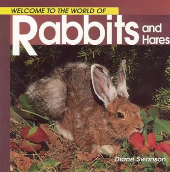 Paperback Welcome to the World of Rabbits and Hares Book