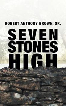 Paperback Seven Stones High Book