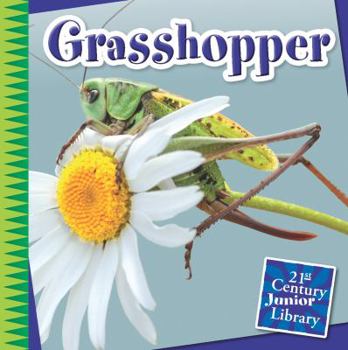 Grasshopper - Book  of the Creepy Crawly Critters