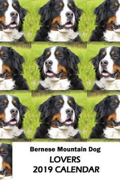 Paperback Bernese Mountain Dog Lovers 2019 Calendar Book